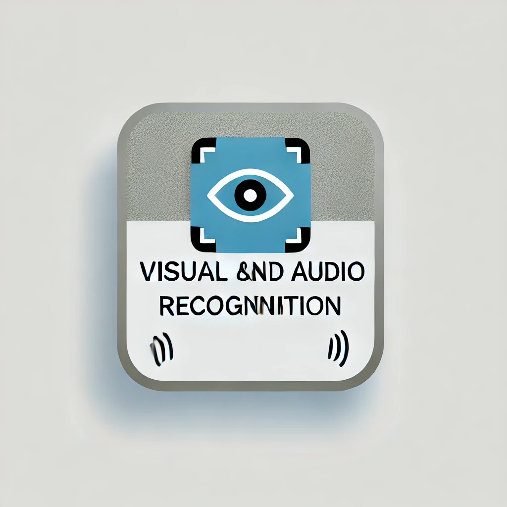 Visual and Audio Recognition